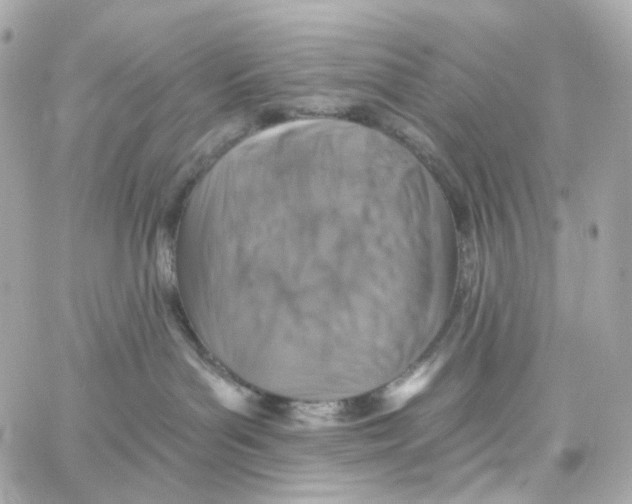 X0000059040143200511041646