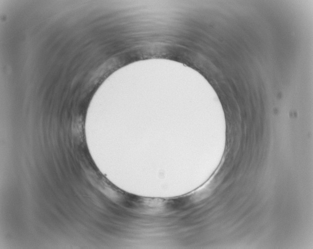 X0000059040144200511041646