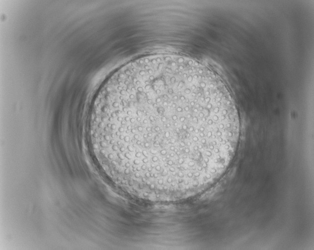 X0000059040145200511041645