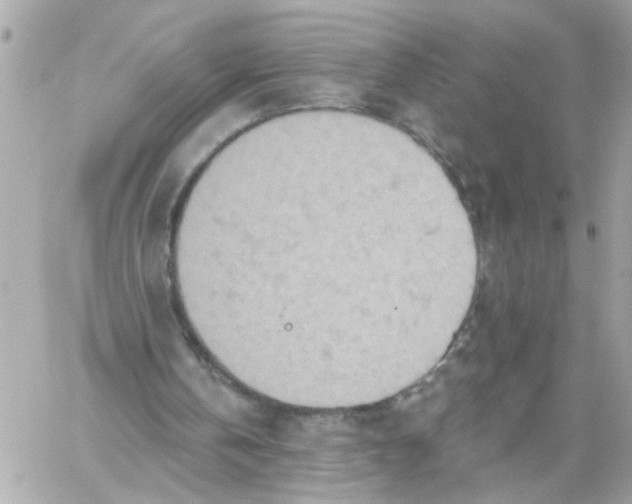 X0000059040146200511041645