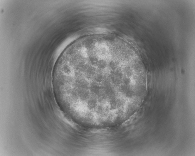 X0000059040147200511041645