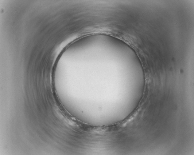 X0000059040148200511041645