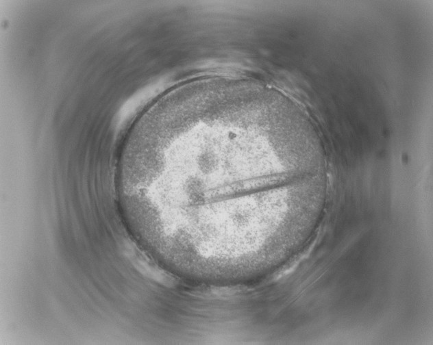 X0000059040149200511041645