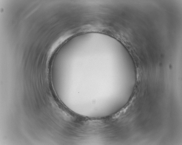 X0000059040150200511041645