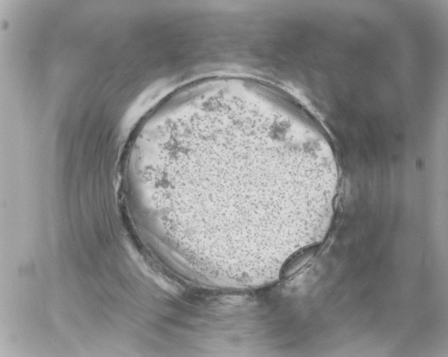 X0000059040151200511041645