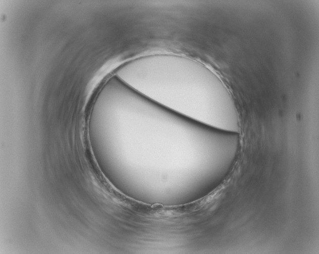 X0000059040152200511041645