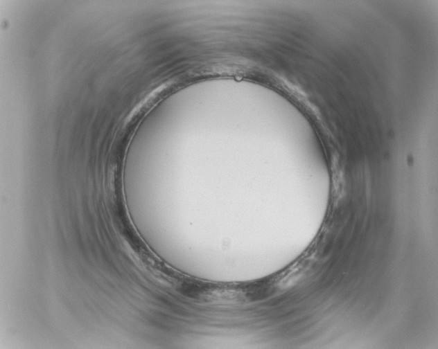 X0000059040154200511041645