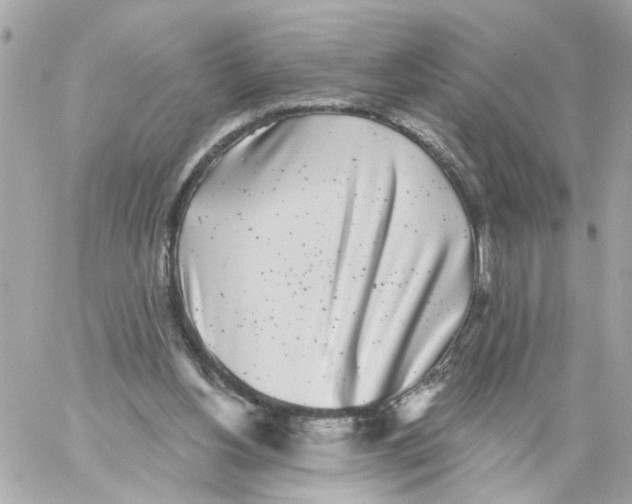 X0000059040156200511041645