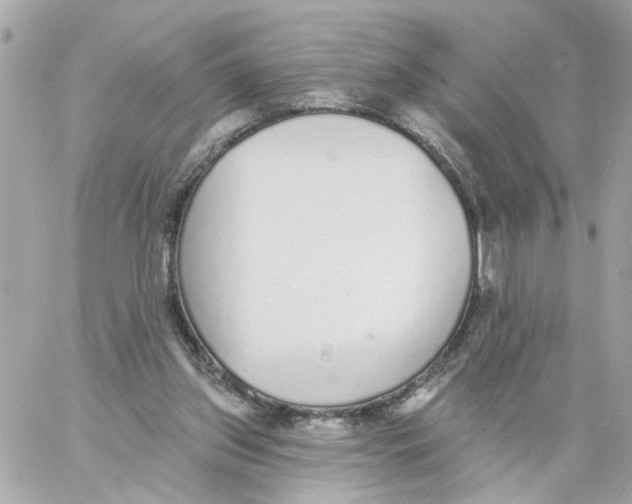 X0000059040157200511041646