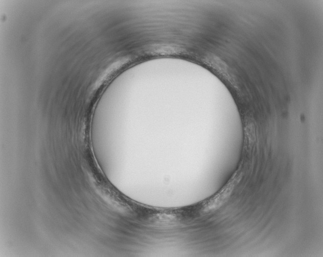 X0000059040159200511041646