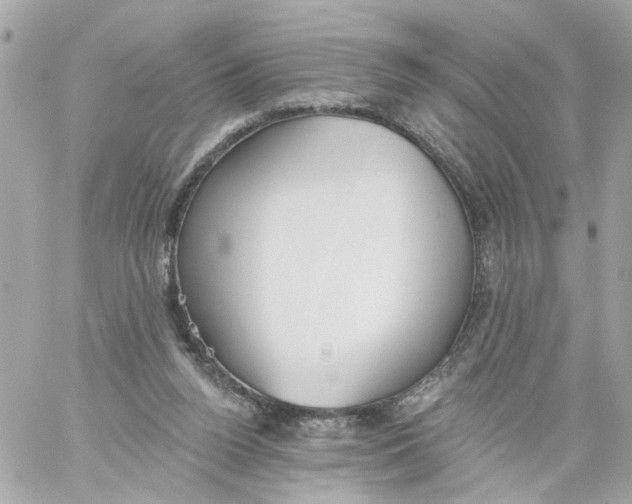 X0000059040160200511041646