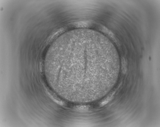 X0000059040161200511041646