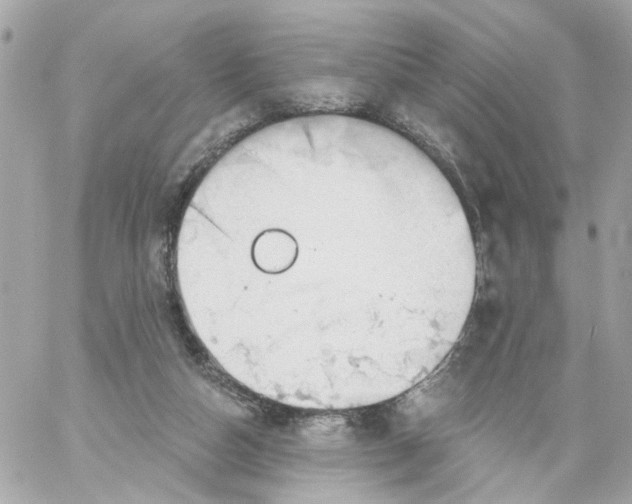 X0000059040162200511041646