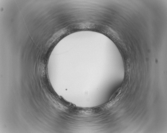 X0000059040164200511041646