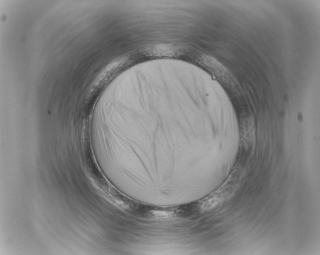 X0000059040167200511041646