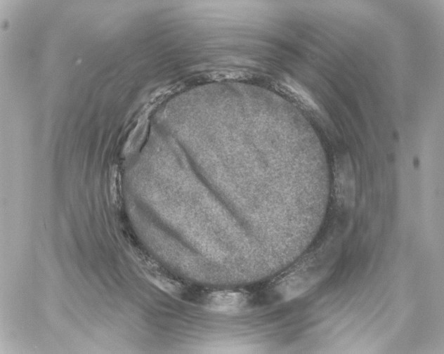 X0000059040169200511041646