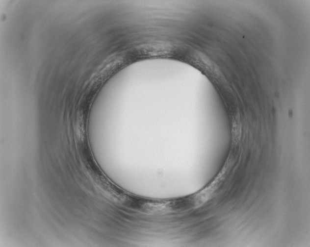 X0000059040170200511041646