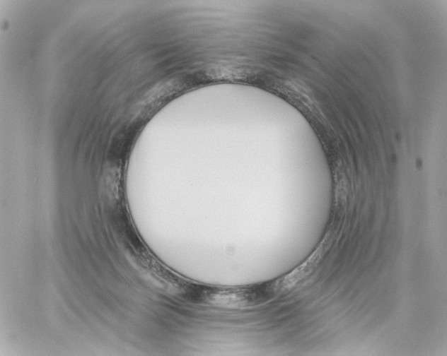 X0000059040171200511041646