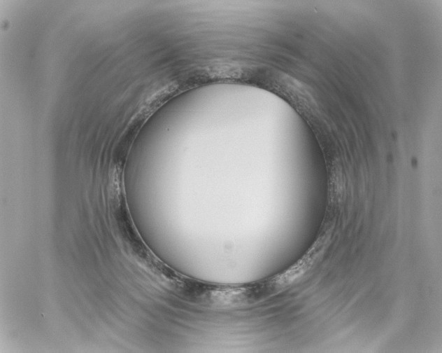 X0000059040172200511041646