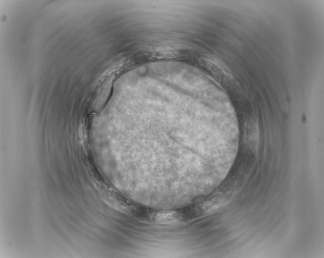 X0000059040173200511041646