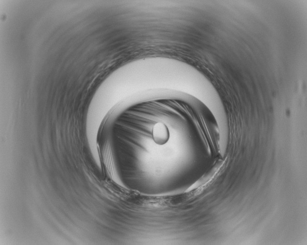 X0000059040175200511041646