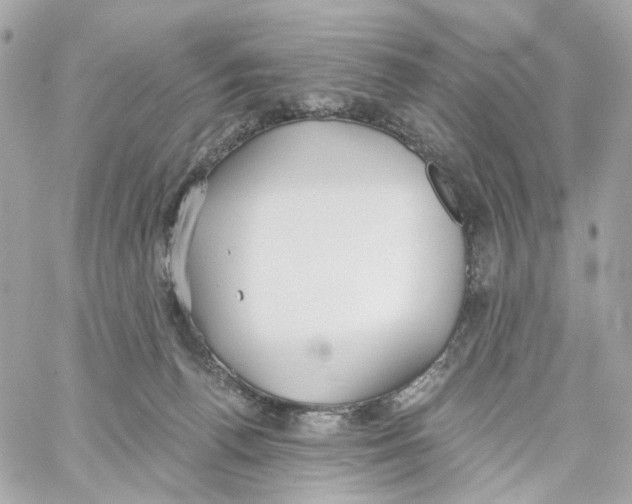 X0000059040176200511041646