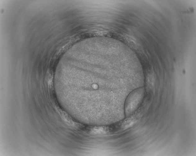 X0000059040177200511041646