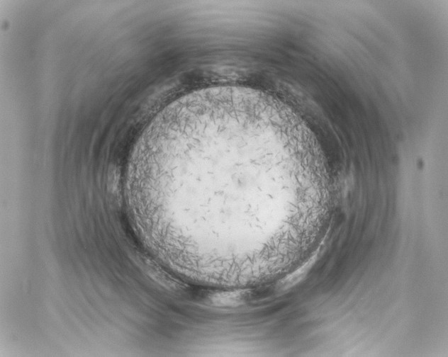 X0000059040178200511041646