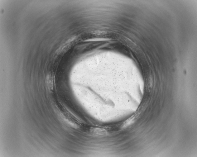 X0000059040180200511041646