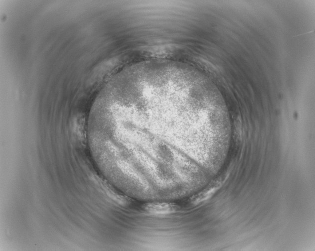 X0000059040181200511041646