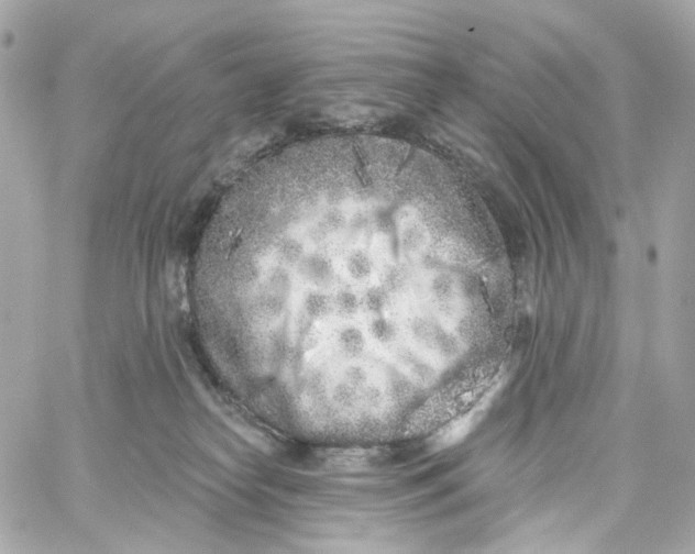 X0000059040182200511041646