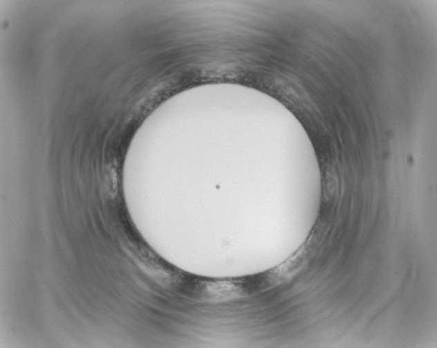 X0000059040183200511041646