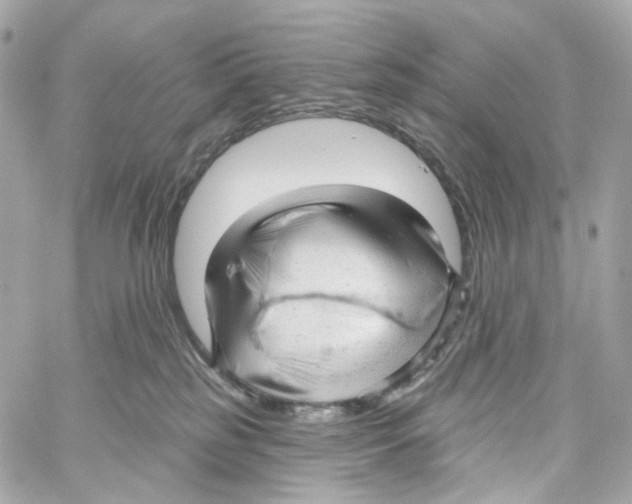 X0000059040185200511041646