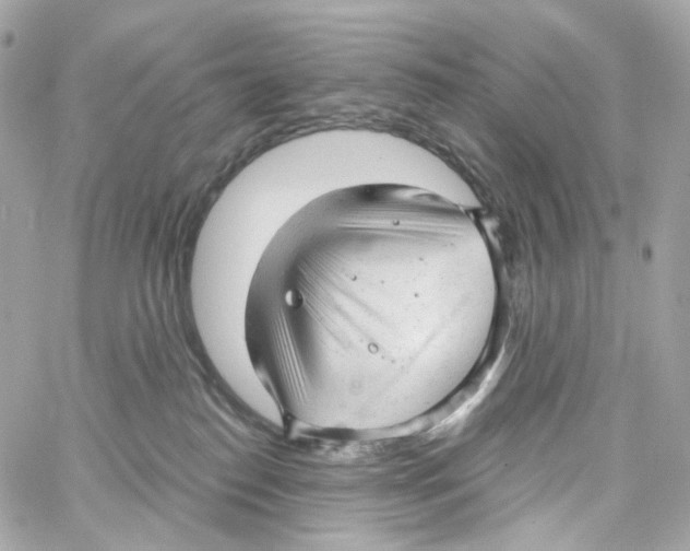 X0000059040186200511041646