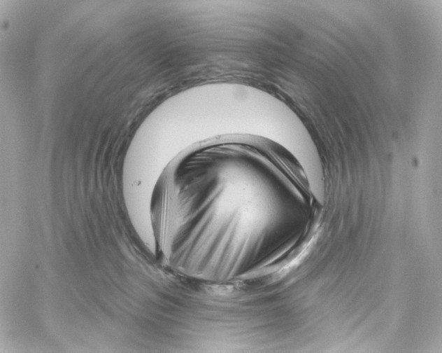 X0000059040187200511041646