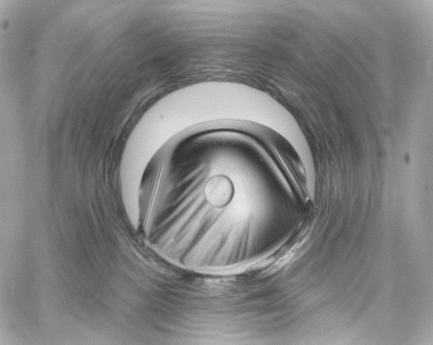 X0000059040188200511041646