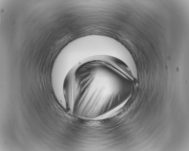 X0000059040189200511041646