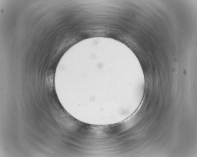 X0000059040190200511041646