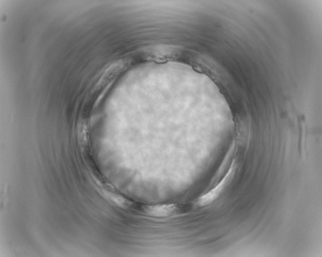 X0000059040191200511041646