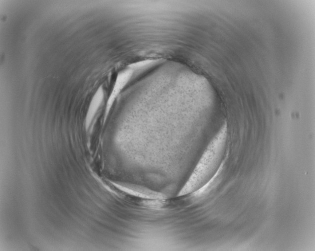 X0000059040192200511041646