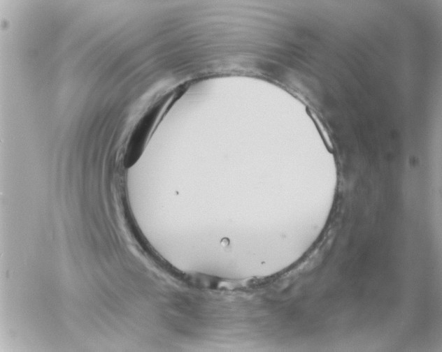 X0000059040193200511041645