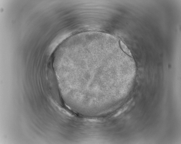 X0000059040194200511041645