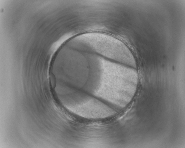 X0000059040196200511041645