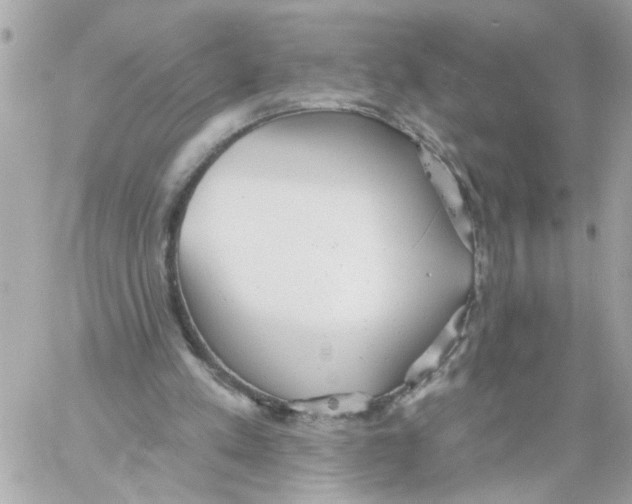 X0000059040197200511041645