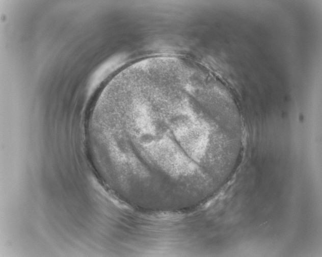 X0000059040198200511041645