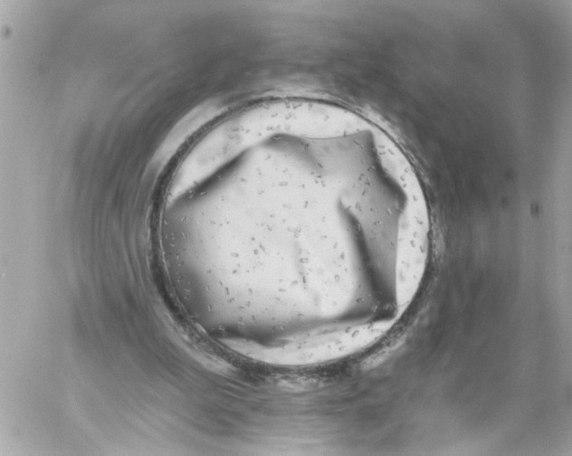 X0000059040199200511041645