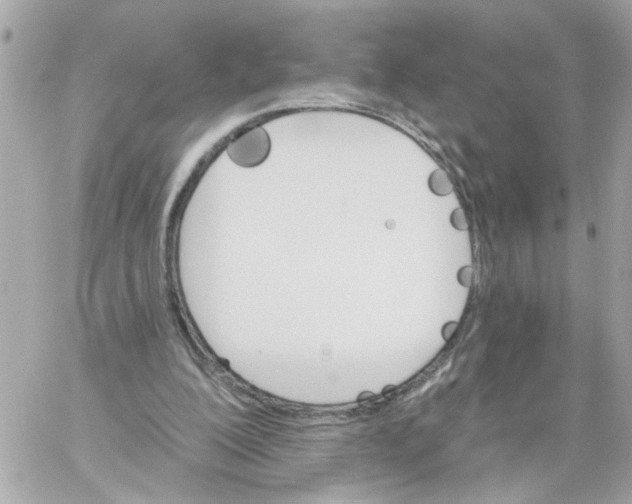 X0000059040200200511041645