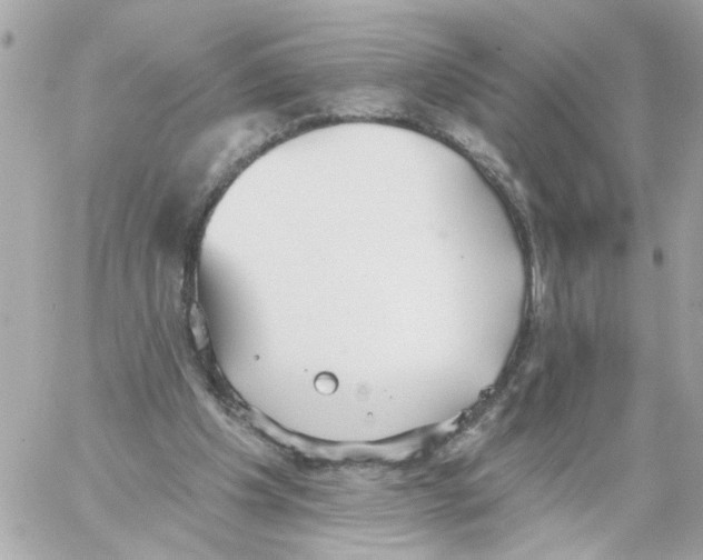 X0000059040201200511041645