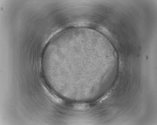 X0000059040202200511041645