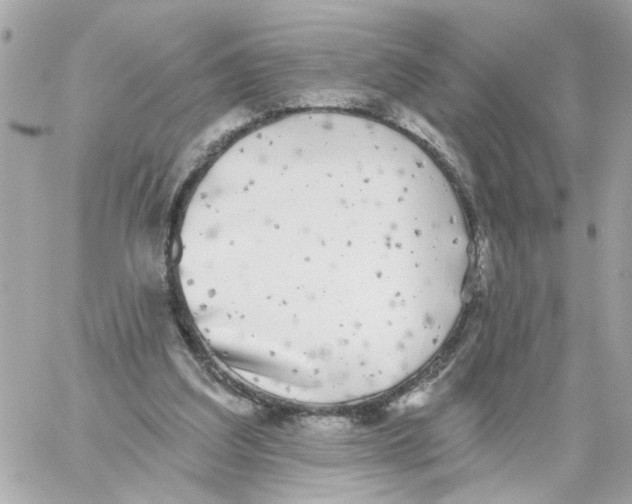 X0000059040203200511041645